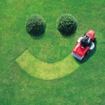 Daytona Beach Commercial Lawn Care